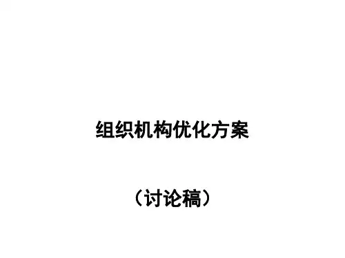 组织机构优化方案
