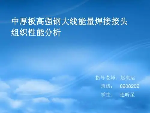 中期报告