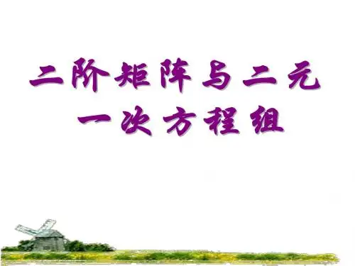 高二数学二阶矩阵和二元一次方程组