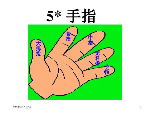 手指PPT课件