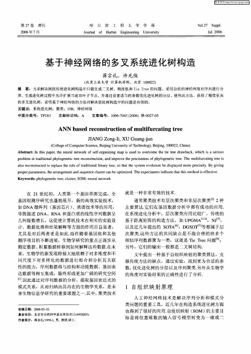 基于神经网络的多叉系统进化树构造