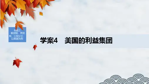 高中政治选修3优质课件：3.4 美国的利益集团