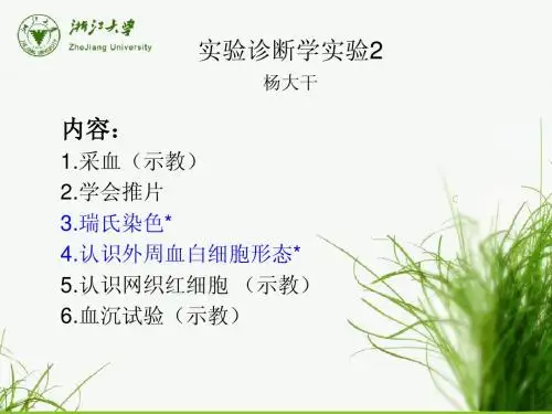 2012实验诊断2