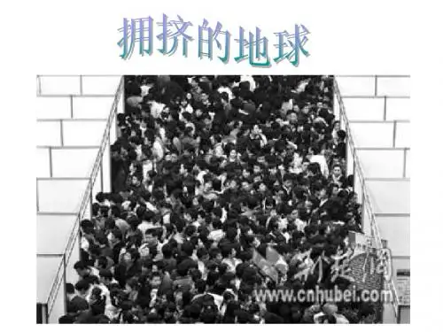 2.5.1 光合作用