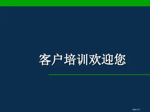 多米诺在中国培训教程(课件)