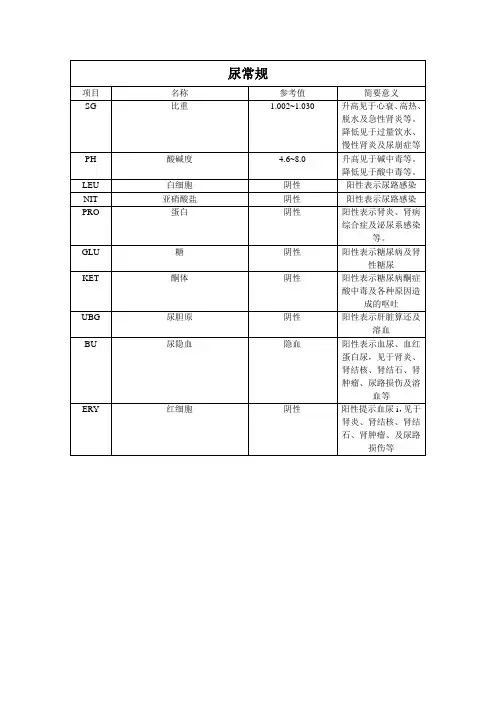 尿常规