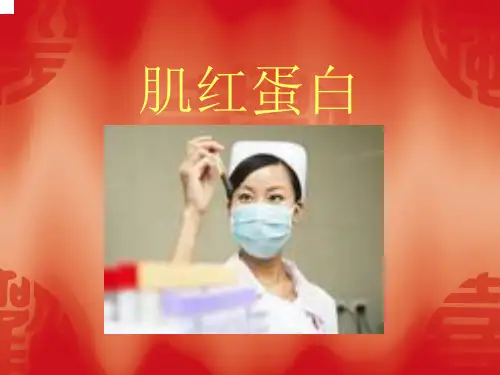 肌红蛋白