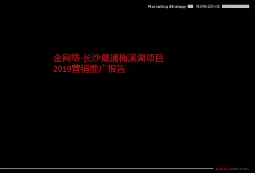 2014年长沙晟通梅溪湖项目营销推广报告