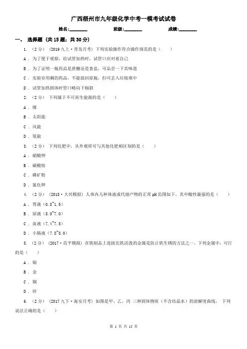 广西梧州市九年级化学中考一模考试试卷