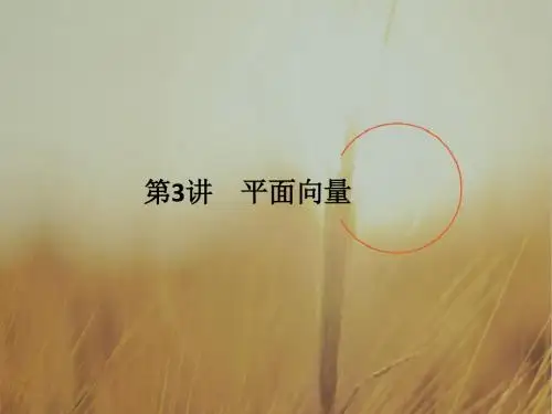 2018版高考数学浙江版二轮专题复习配套课件：专题一 三角函数与平面向量 第3讲 精品