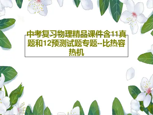 中考复习物理精品课件含11真题和12预测试题专题--比热容热机共41页文档
