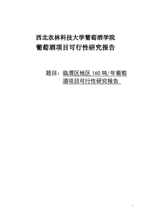 临渭区年产160吨葡萄酒厂项目可行性研究报告