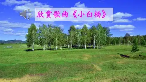 3 白杨