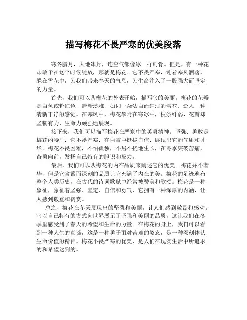 描写梅花不畏严寒的优美段落