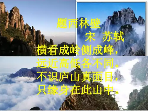 华东师大版数学七年级上册-4.2.1 由立体图形到视图 课件  最新课件PPT
