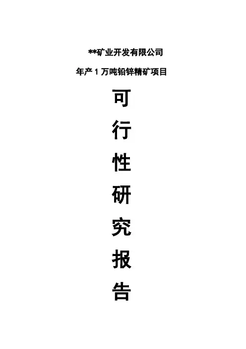 某某年产1万吨铅锌精矿项目可行性研究报告