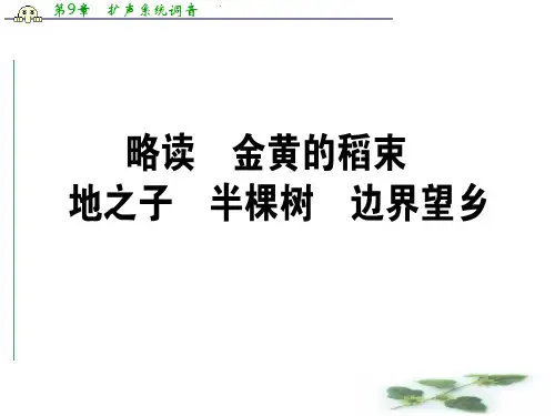 高中语文人教中国现代诗歌散文欣赏课件:诗歌部分 4.2 第4单元 大地的歌吟