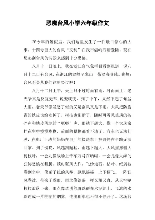 恶魔台风小学六年级作文
