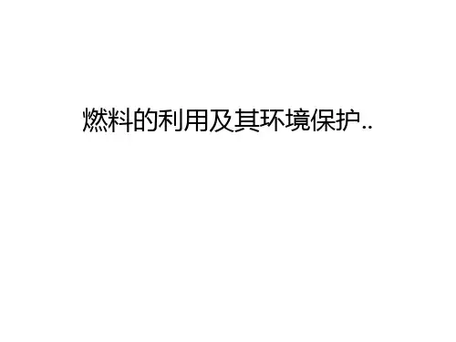 【管理资料】燃料的利用及其环境保护..汇编
