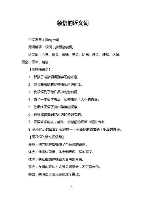 领悟的近义词