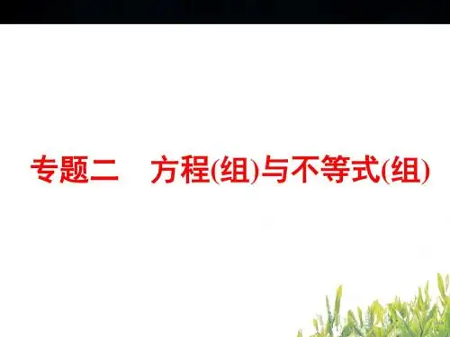 浙江新中考中考数学专题突破强化训练课件：专题二+方程组与不等式组(共53张PPT)