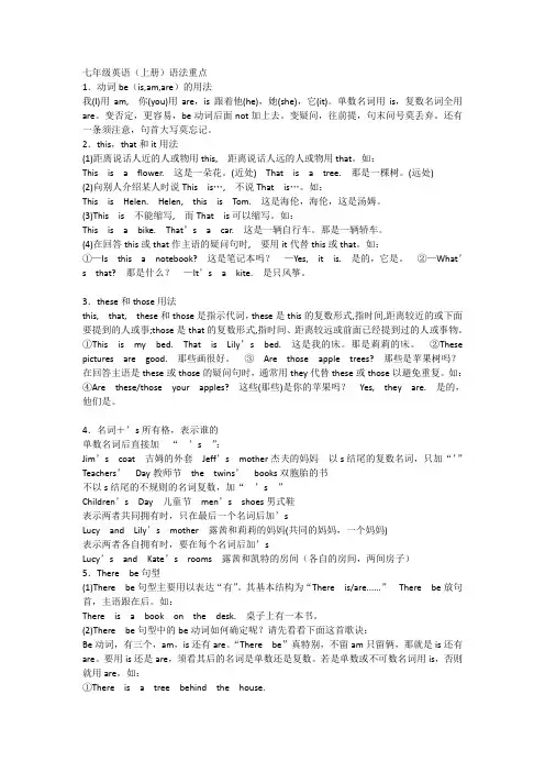 人教版英语七年级上语法总复习