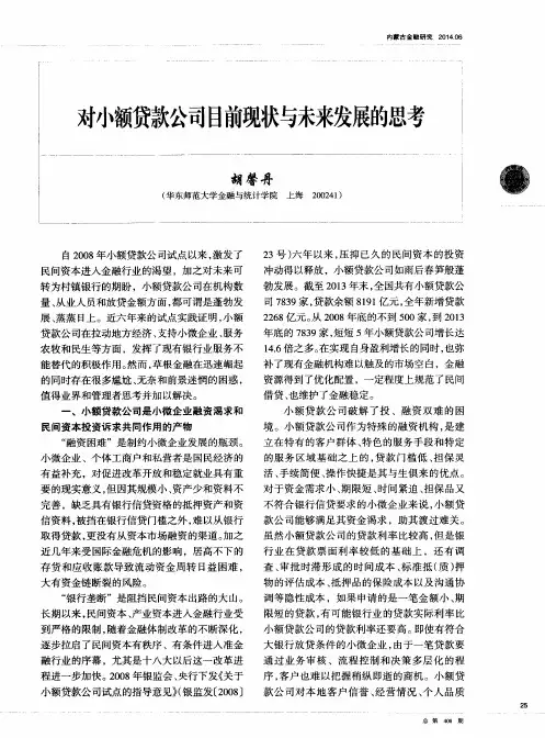 对小额贷款公司目前现状与未来发展的思考