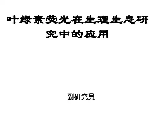 叶绿素荧光在生理生态研究中的应用 ppt课件