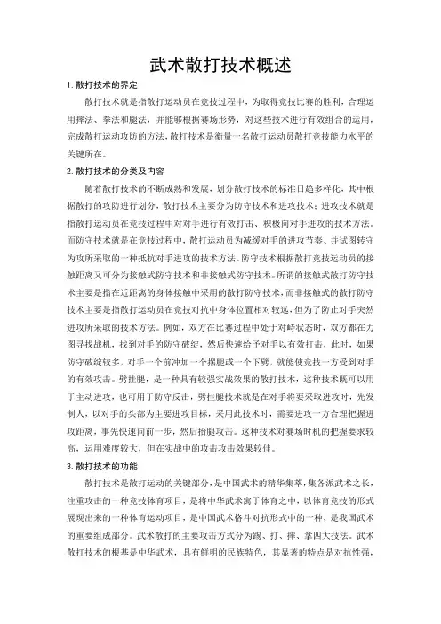 武术散打技术概述