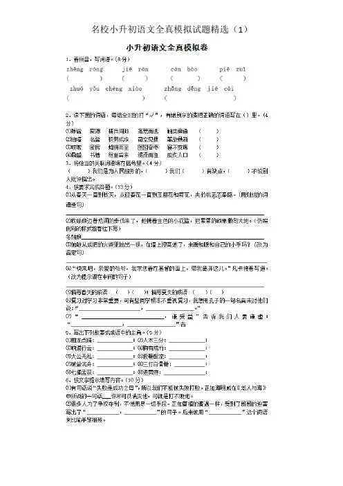 2018年天水市名校小升初语文全真模拟试题精选(1)附详细答案