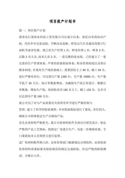 项目投产计划书