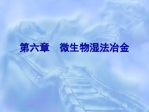 第六章 微生物湿法冶金