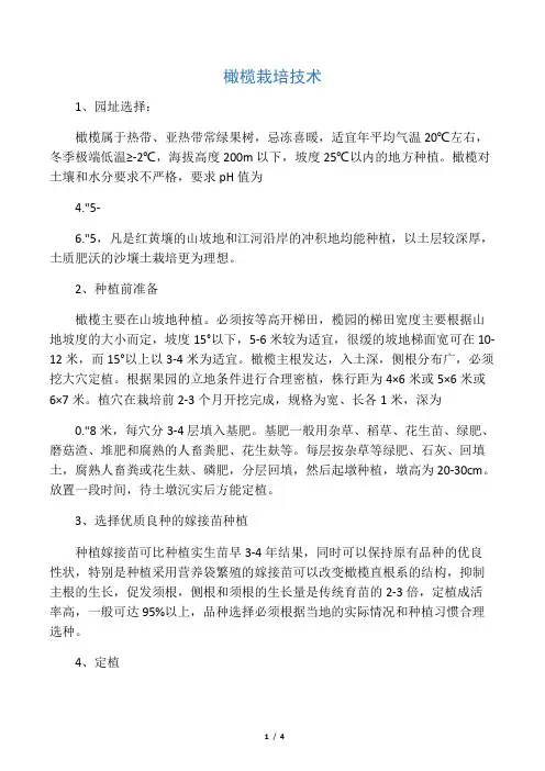 橄榄栽培技术