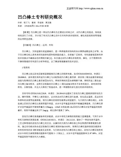 凹凸棒土专利研究概况