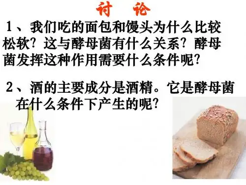 高一生物探究酵母菌细胞呼吸的方式