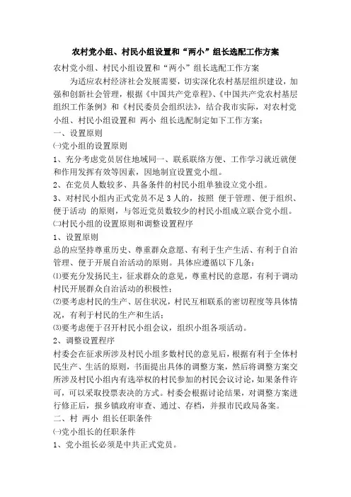 农村党小组村民小组设置和“两小”组长选配工作方案(精简篇)