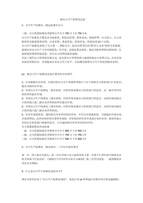 一级安全生产标准化达标安全生产