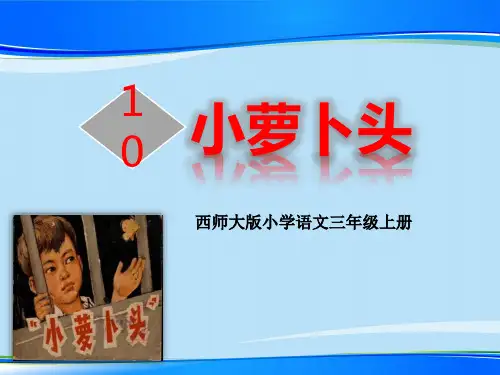 《小萝卜头》PPT下载【推荐下载课件】