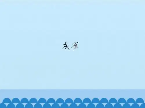 人教部编版三年级语文上册26课《灰雀》PPT课件