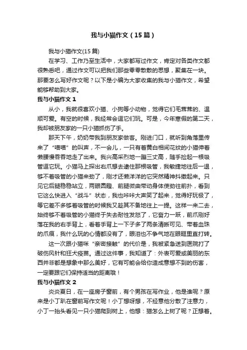 我与小猫作文（15篇）