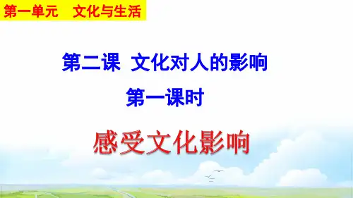 高中政治必修3优质课件1:.2.1 感受文化影响
