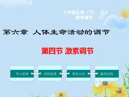 初中生物激素调节课件人教版七年级下册