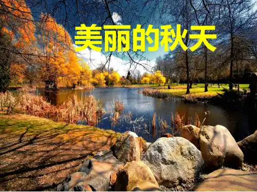 三年级作文—美丽的秋天