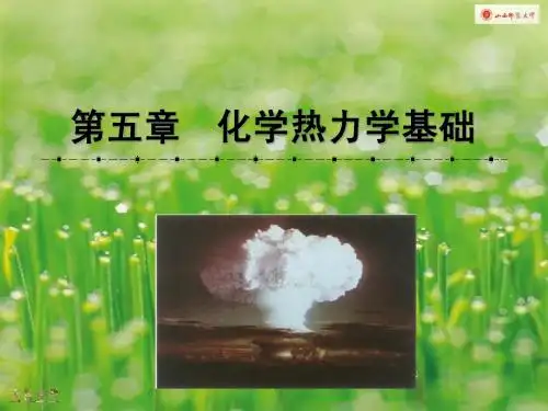 第5章 化学热力学基础