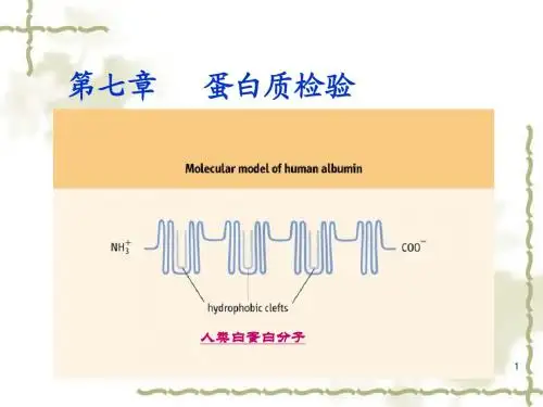 蛋白质检验