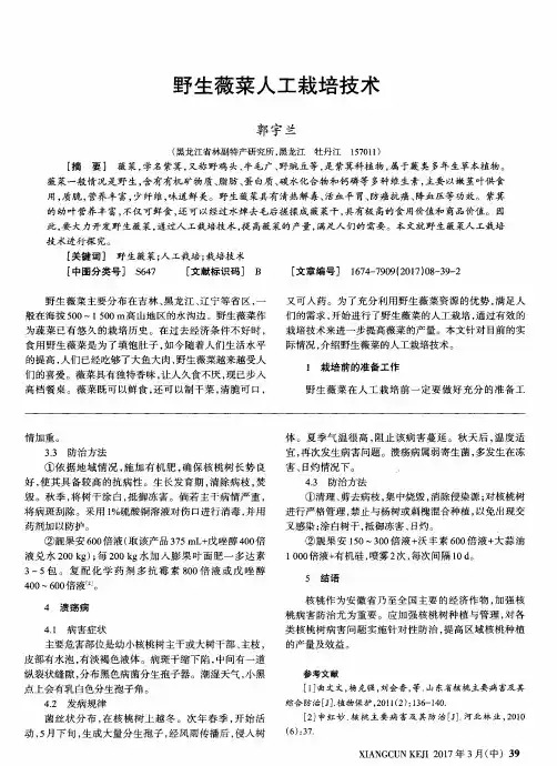 野生薇菜人工栽培技术