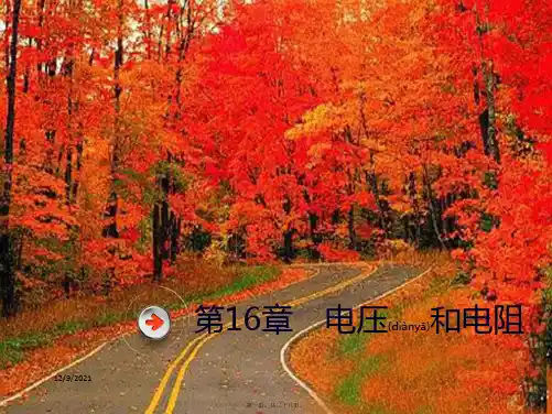 中考物理总复习 第十六章 电压和电阻课件