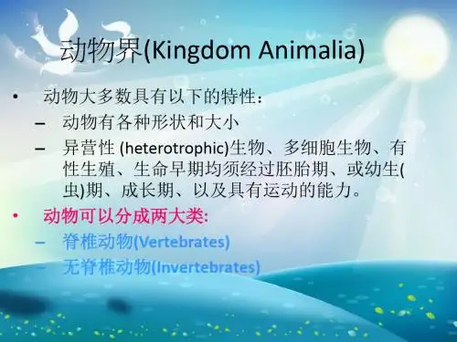 动物的分类课件
