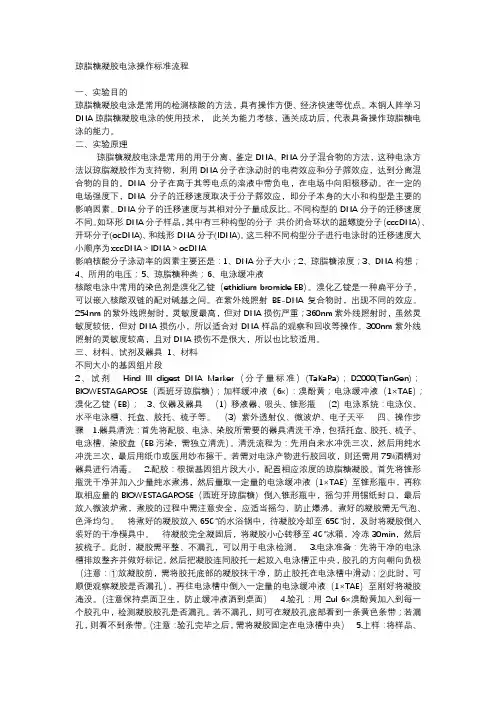 琼脂糖凝胶电泳操作标准流程 2