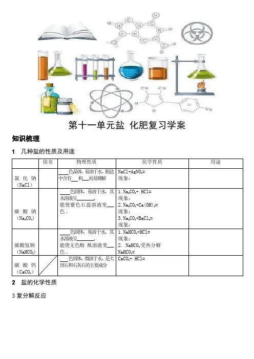 初中化学：第十一单元盐和化肥复习学案
